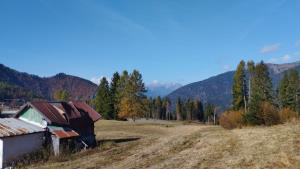 Foto St 3